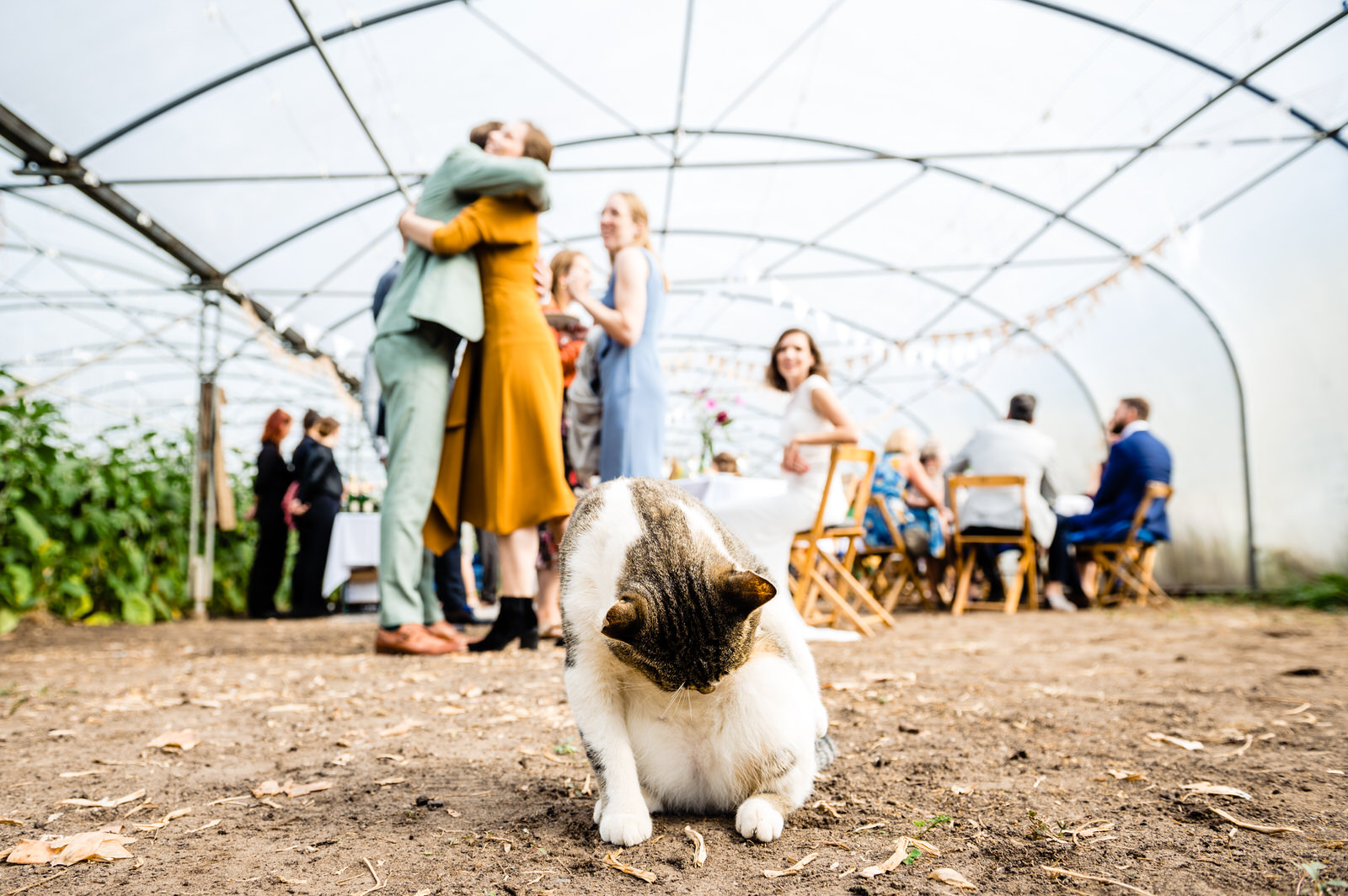 Trouwen op de boerderij